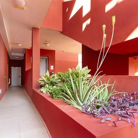 Gavade Apartment